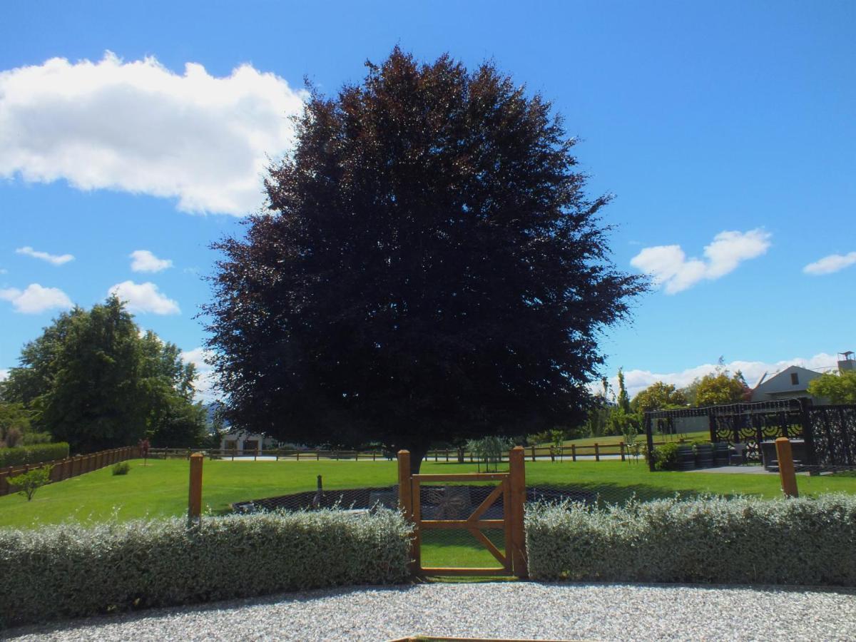 Copper Beech Wanaka - Luxury Accommodation Extérieur photo