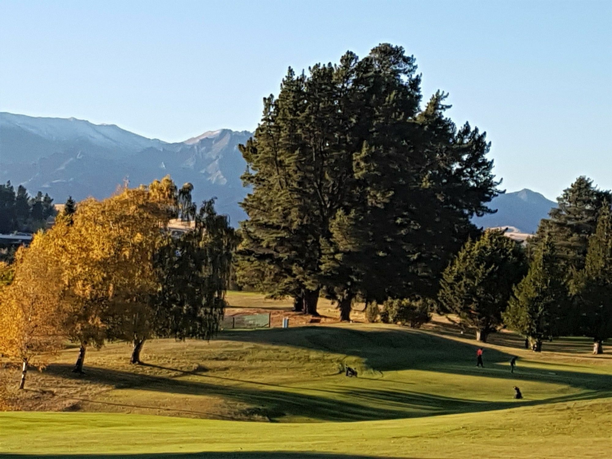 Copper Beech Wanaka - Luxury Accommodation Extérieur photo